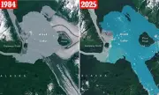Nature's Marvel: New Island Emerges from the Sea Near Japan After Powerful Volcanic Eruption