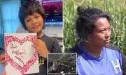 New Orleans Alligator Horror: Mother Arrested After Toddler Son Dragged to Death in Grisly Swamp Attack
