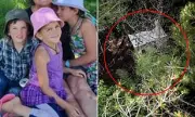 New Zealand Father Tom Phillips Vanishes With Three Children in Bizarre Anti-Government Crusade
