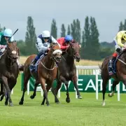 Newbury & Ayr Racing Tips: Friday's Best Bets from Newsboy