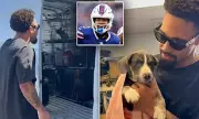 NFL Star's Dogs Spared: Buffalo Bills' Khalil Shakir Wins Emotional Reprieve for Pets Facing Euthanasia
