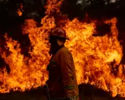 NSW Braces for 'Terrifying' Bushfire Season After Record Wet Winter, Firefighters Warn