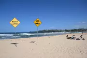 NSW Shark Net Reduction Trial: Safety Concerns Rise After Dee Why Beach Attack