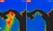 Ocean's Vital 'Conveyor Belt' Stalls: Scientists Issue Dire Climate Warning as Atlantic Upwelling Fails