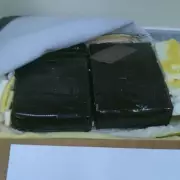 Pensioner's Bizarre Smuggling Bid: 71-Year-Old Caught with Live Snakes and Chameleons in His Trousers at Airport