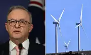 PM Albanese's Net Zero Plan Exposed: Experts Accuse PM of 'Bald-Faced Lie' Over Cost Claims | Daily Mail