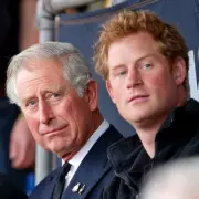 Prince Harry's Bombshell Revelation: 'There's Enough Material for Another Book' on Royal Family
