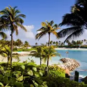 Prince William & Kate's Bahamas Trip Sparks Royal Tourism Boom | Insider Review