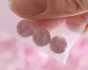 Queensland Government Bans Pill Testing, Igniting Health Crisis Fears