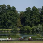 Racing's Top Tip: Newsboy's Unmissable Nap of the Day at Musselburgh