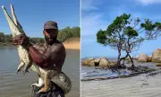 Realtarzann Mike Holston's Terrifying Crocodile Encounter in Queensland: 'I Thought I Was Going to Die' | Daily Mail
