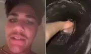 Reece Walsh's Bizarre Toilet Water Stunt Sends NRL Fans into a Frenzy | The Truth Revealed