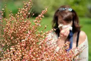 Revolutionary mRNA Vaccine Could End Seasonal Allergies, UK Scientists Reveal