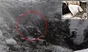 Roswell UFO Mystery Reignited: 'Alien Autopsy' Film Unearthed in National Archives | Exclusive