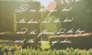 Royal Fans Left Baffled by Meghan Markle's Mysterious Instagram Calligraphy Post
