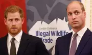 Royal Reconciliation Imminent? Harry's Confidant Predicts William Reunion 'Sooner Than We Think'