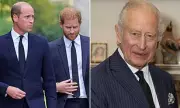 Royal Rift Deepens: King Charles 'Exasperated' by Harry's Tell-All Memoir and William Feud, Palace Insider Reveals