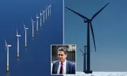 Ørsted Crisis: World's Largest Wind Farm Developer Sees Profits Plummet by £2.2 Billion Amid Green Energy Struggles