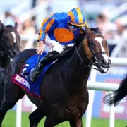 Scandinavia Stuns Doncaster with Thrilling St Leger Victory at 22-1