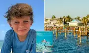 Shark Attack Horror: Boy, 13, Mauled in Florida Keys as Sister Fights for Recovery