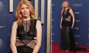 Sharon Horgan Stuns in Sheer Gown at 2025 Emmy Awards Despite Losing to Britt Lower | Daily Mail
