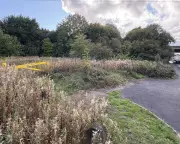 Shock in West Midlands: Sikh Woman Targeted in Alleged Racially-Motivated Rape in Oldbury