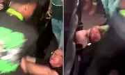 Shocking Assault at Arrowhead: Child Attacks Stadium Worker in Kansas City