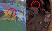 Shocking Brawl Erupts in Sydney's Ruse: Teenagers Hospitalised After Campbelltown Street Violence