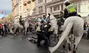 Shocking Footage: Tommy Robinson Protest Erupts in Violence as Thugs Attack Police Horses | Daily Mail