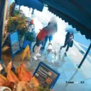 Shocking XL Bully Attack Caught on CCTV: Owner's Desperate Struggle in UK Street