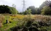Sikh Woman Targeted in Vile Racist Rape Attack on Way to Work in West London | Police Hunt for Two Suspects