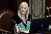 Speaker's Snub: Irish Parliament Address Blocked in Diplomatic Row