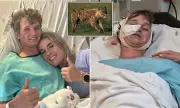 Stag Do Horror: British Tourist Mauled by Hyenas After Crashing into South African Game Reserve