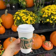 Starbucks UK Launches New Pistachio & Chocolate Cold Brew: Limited Edition Spring Drink Hits Stores