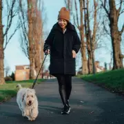Stray Cat Adopts Woman: Heartwarming Tale of Feline Devotion in UK Home