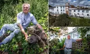 Sycamore Gap Tree Felling: Care Home Workers and Vicar in Court Over Felled Icon