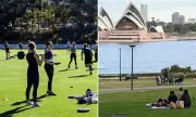 Sydney Park Wedding Fee Fury: Couples Face £3,500 Charge for 'Free' Public Space Ceremonies