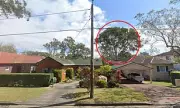 Sydney's Suburban Siege: Dramatic Police Standoff Ends in Arrest After Tense Hours