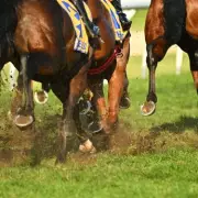 Tasmania Racing Scandal: Stewards Sacked After Shocking Betting Exposé