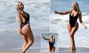 Teen Mom Farrah Abraham's Malibu Beach Stunt: See the Jaw-Dropping Swimsuit Photos