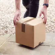 Temu Bin Bargain Goes Viral: Man's £8 Storage Solution Sparks Online Frenzy