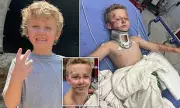 Texas Hit-and-Run: Heartbreaking Search for Driver Who Left 6-Year-Old Liam Park Fighting for Life