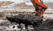 Thames 'Wet Wipe Island': The Shocking Rubbish Mountain Exposed by Low Tides | London's Environmental Shame