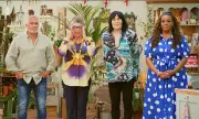 The Great British Bake Off Biscuit Week Disaster: Soggy Bottoms & Shattered Dreams as Contestants Crumble
