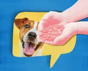 The Hidden Cost of Being 'Nice': How Women Are Conditioned Into People-Pleasing