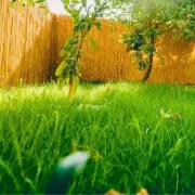 The Secret to a Perfectly Green Lawn: Expert Reveals 7 Common Mistakes to Avoid This Summer