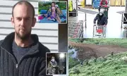 Tom Phillips: The Chilling Timeline of a Father's Descent and the Search for Three Missing Children