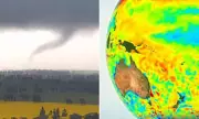 Tornado Terror in NSW: Young Family's Miracle Escape as Twister Flattens Home