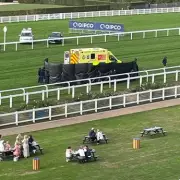 Tragedy at Ascot: Horse Dies After Fall in Queen Elizabeth II Jubilee Stakes
