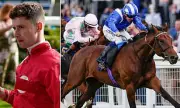 Tragedy at Ascot: Horse Dies and Jockey Hospitalised After Shocking Racecourse Incident